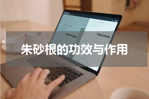 朱砂根的功效与作用