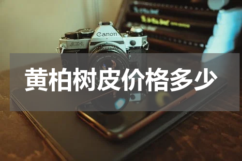 黄柏树皮价格多少