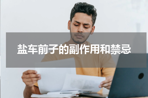 盐车前子的副作用和禁忌