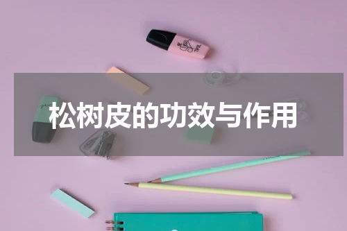 松树皮的功效与作用