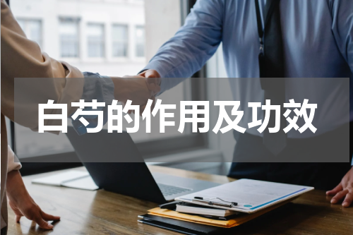 白芍的作用及功效