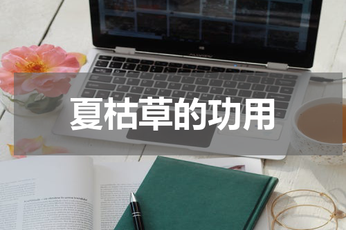 夏枯草的功用