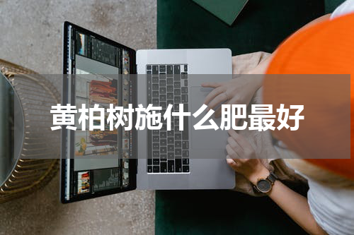黄柏树施什么肥最好