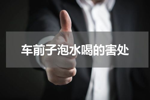 车前子泡水喝的害处