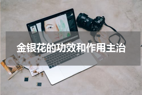 金银花的功效和作用主治