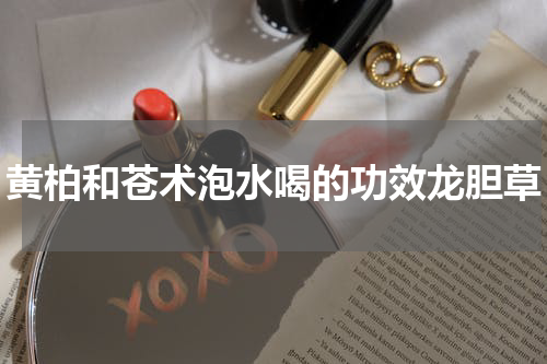 黄柏和苍术泡水喝的功效龙胆草