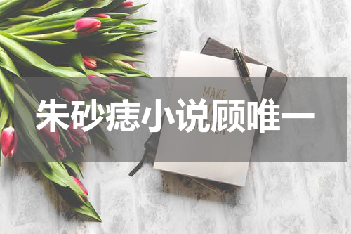 朱砂痣小说顾唯一