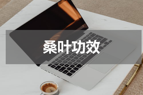 桑叶功效