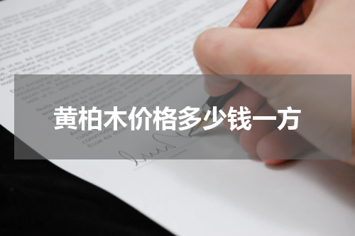 黄柏木价格多少钱一方
