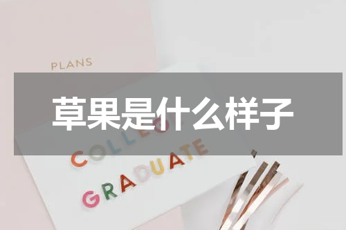 草果是什么样子