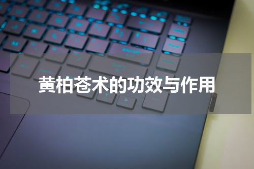 黄柏苍术的功效与作用