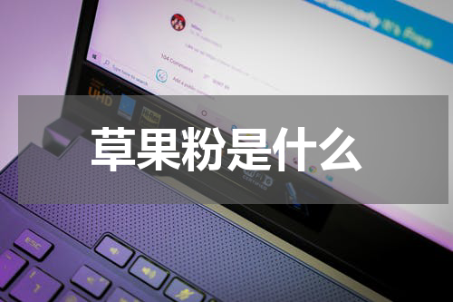 草果粉是什么