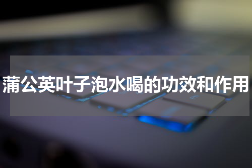 蒲公英叶子泡水喝的功效和作用