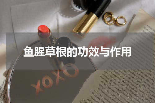 鱼腥草根的功效与作用