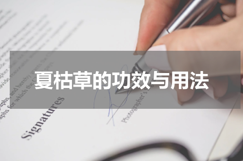 夏枯草的功效与用法