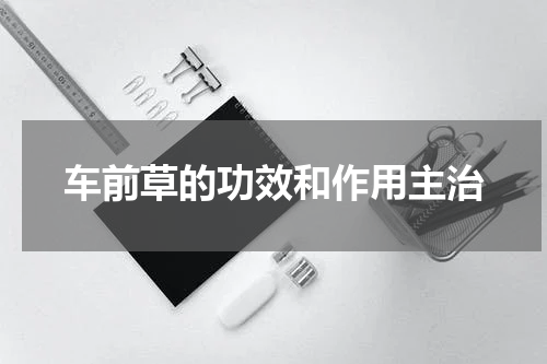 车前草的功效和作用主治