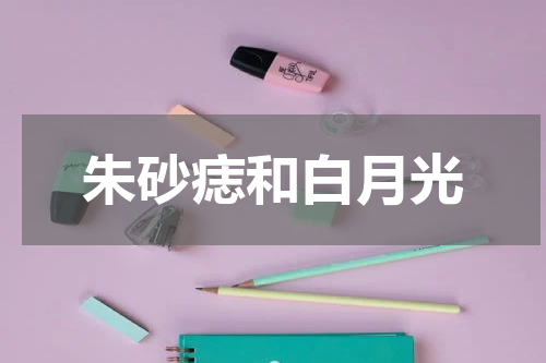朱砂痣和白月光