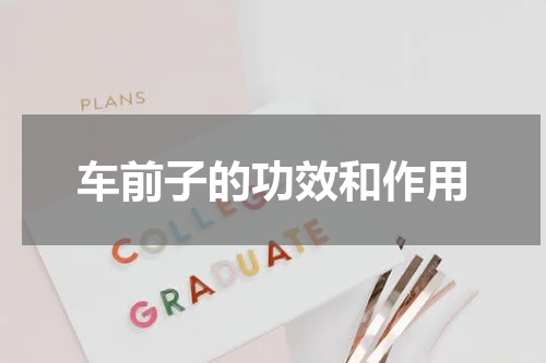 车前子的功效和作用