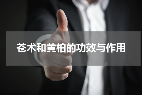 苍术和黄柏的功效与作用