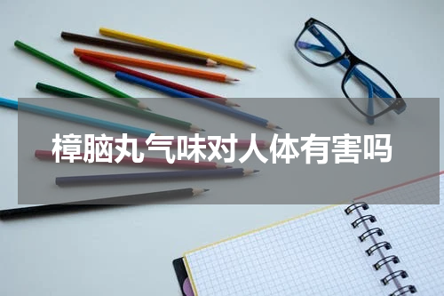 樟脑丸气味对人体有害吗