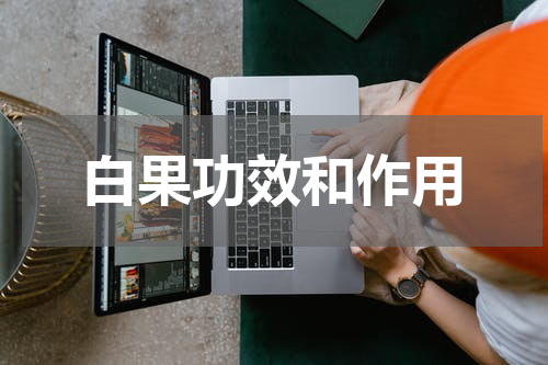 白果功效和作用