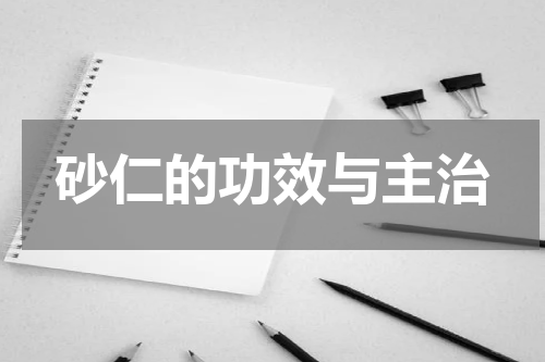 砂仁的功效与主治