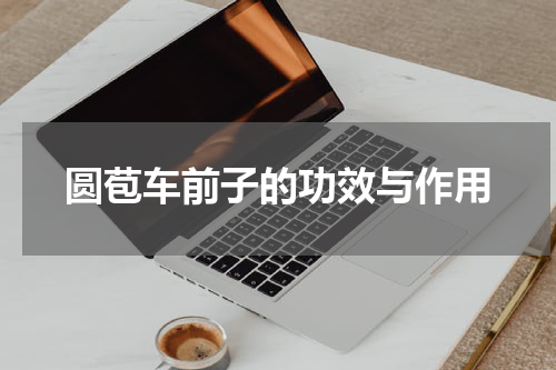 圆苞车前子的功效与作用
