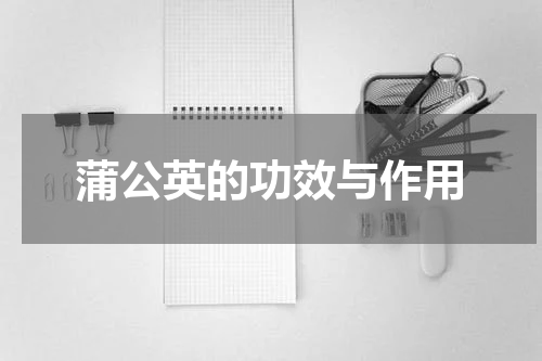 蒲公英的功效与作用