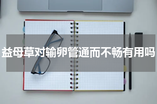 益母草对输卵管通而不畅有用吗