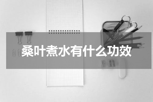 桑叶煮水有什么功效