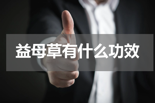 益母草有什么功效