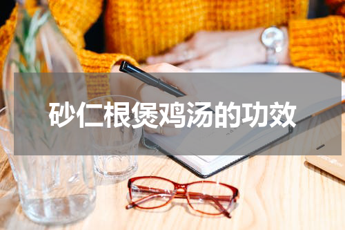 砂仁根煲鸡汤的功效