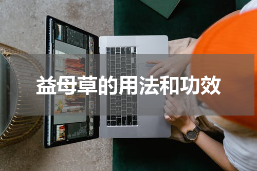 益母草的用法和功效