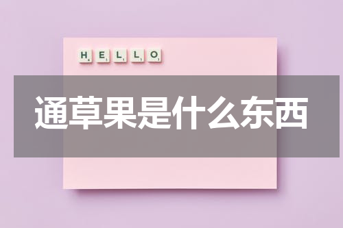 通草果是什么东西