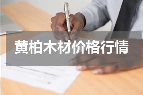 黄柏木材价格行情