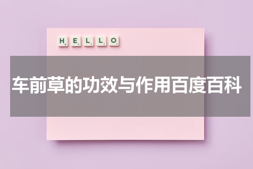 车前草的功效与作用百度百科