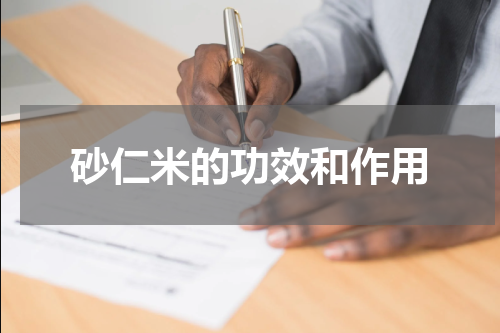 砂仁米的功效和作用