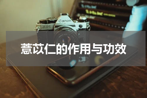 薏苡仁的作用与功效