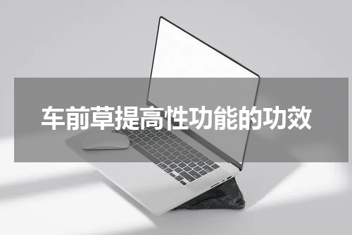 车前草提高性功能的功效