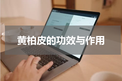 黄柏皮的功效与作用