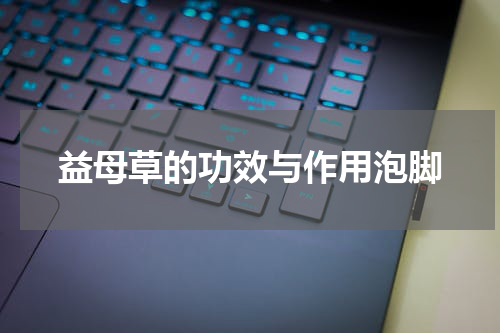 益母草的功效与作用泡脚