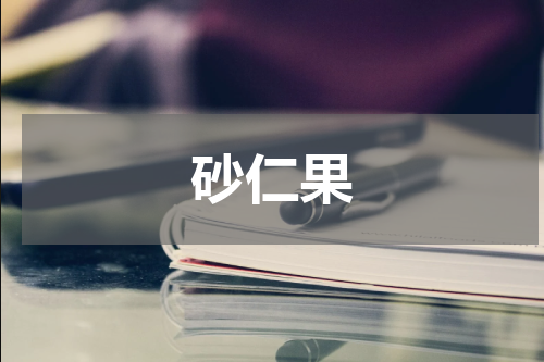 砂仁果