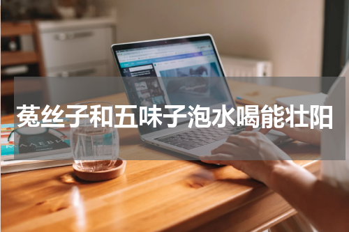 菟丝子和五味子泡水喝能壮阳