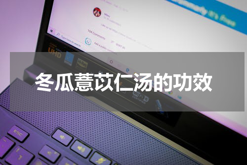 冬瓜薏苡仁汤的功效