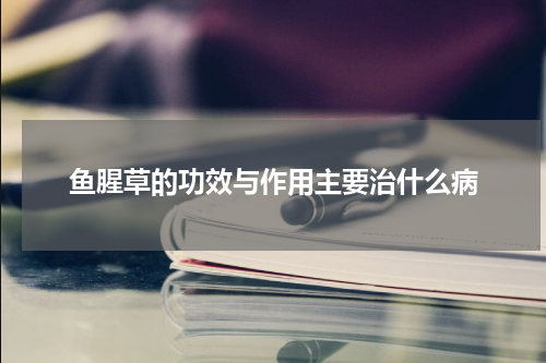 鱼腥草的功效与作用主要治什么病