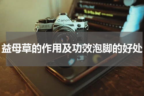 益母草的作用及功效泡脚的好处