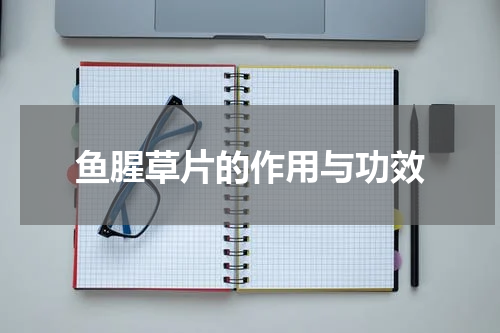 鱼腥草片的作用与功效