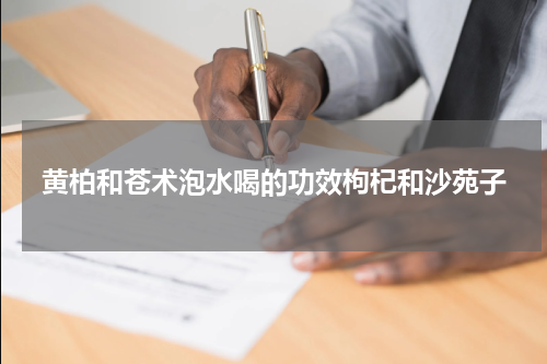 黄柏和苍术泡水喝的功效枸杞和沙苑子