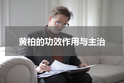 黄柏的功效作用与主治