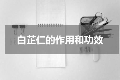 白芷仁的作用和功效